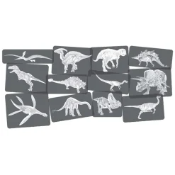 Ontdekkingskaarten Dino Afbeeldingen en X-Ray - 24st.