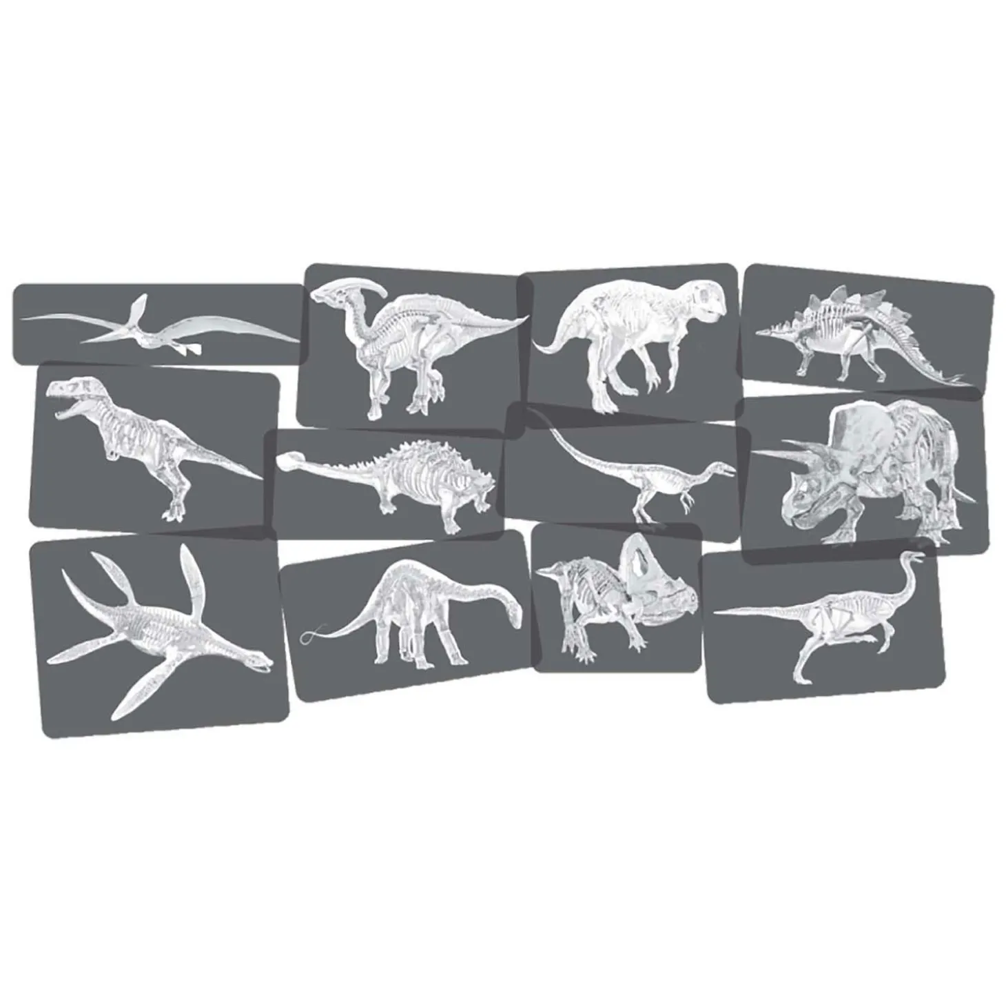 Ontdekkingskaarten Dino Afbeeldingen en X-Ray - 24st.