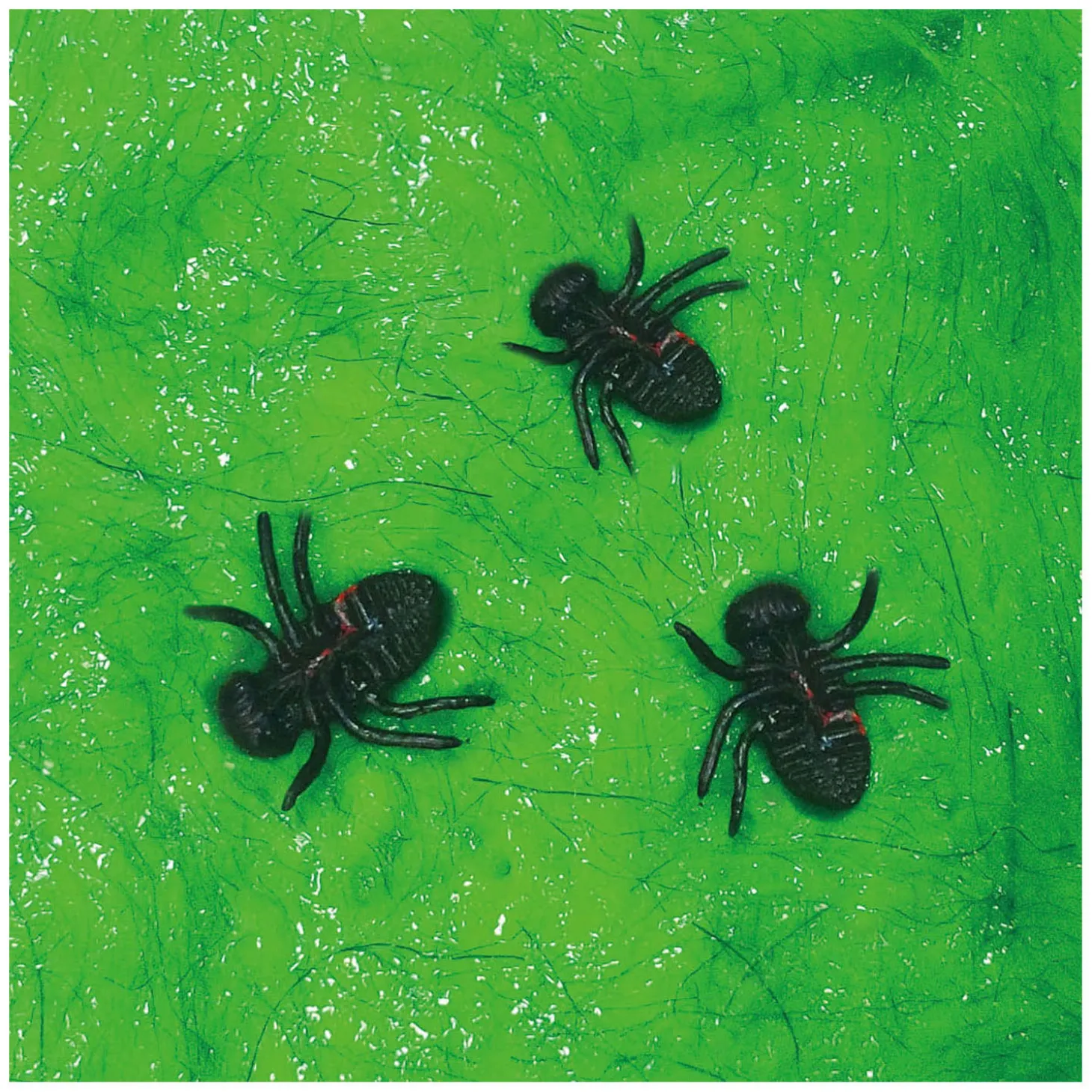 Oosh Harig Slijm met Insecten, 70gr.