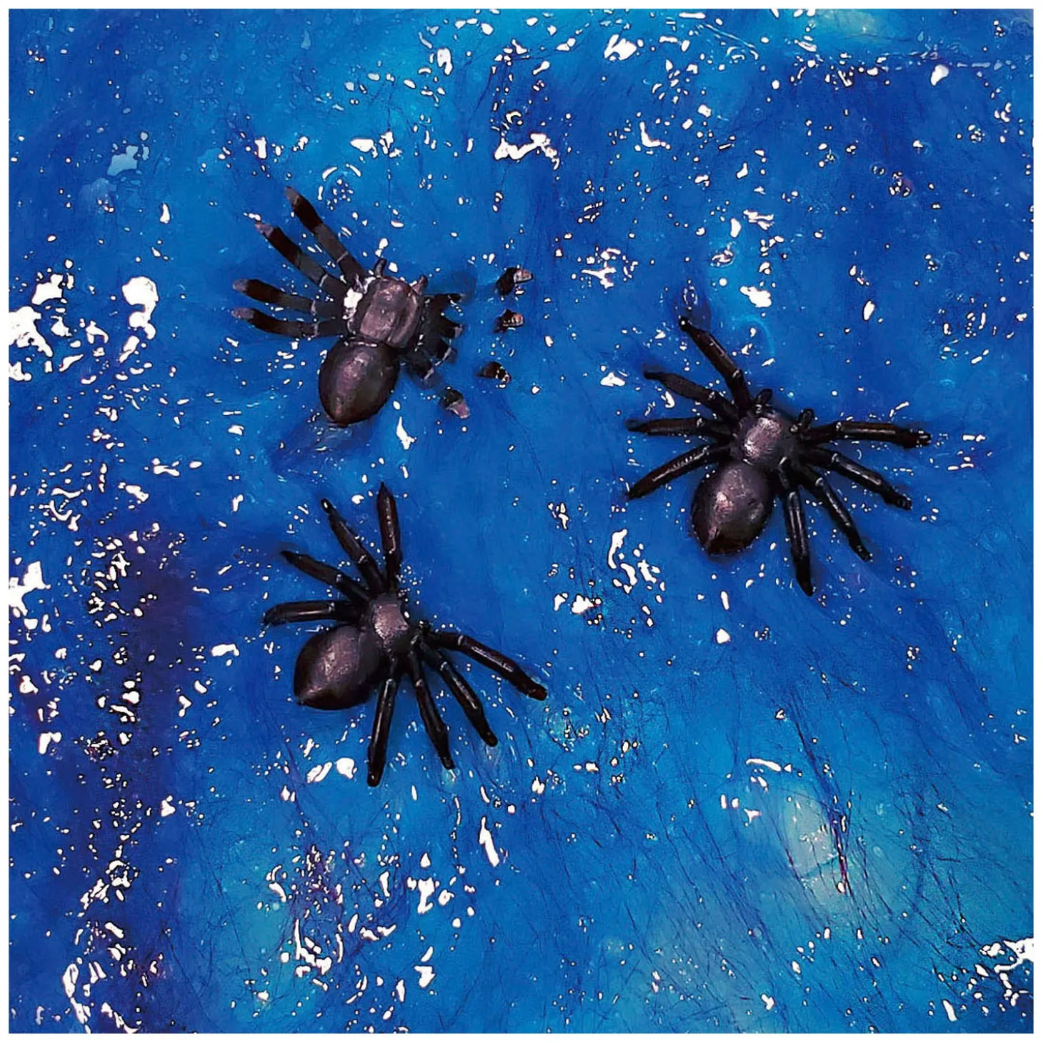 Oosh Harig Slijm met Insecten, 70gr.