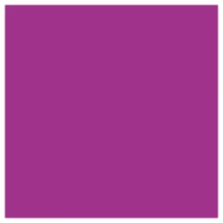 Outdoor Verf - Paars, 250ml