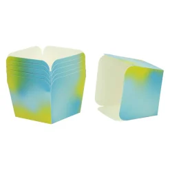 Papieren Feest Snackboxen Klein, 6st.