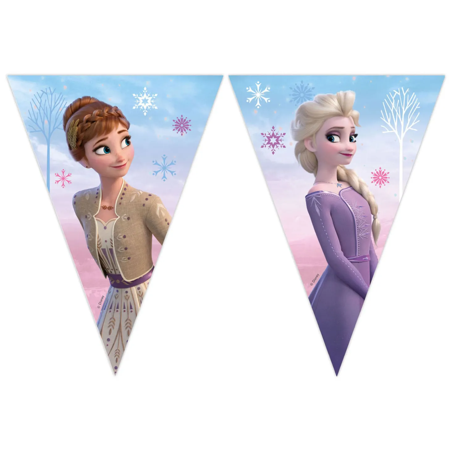 Papieren Vlaggenlijn FSC Frozen 2 Wind Spirti, 3mtr.