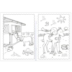 Plakken en Kleuren - De leukste Paarden en Pony's, 4-6 jaar