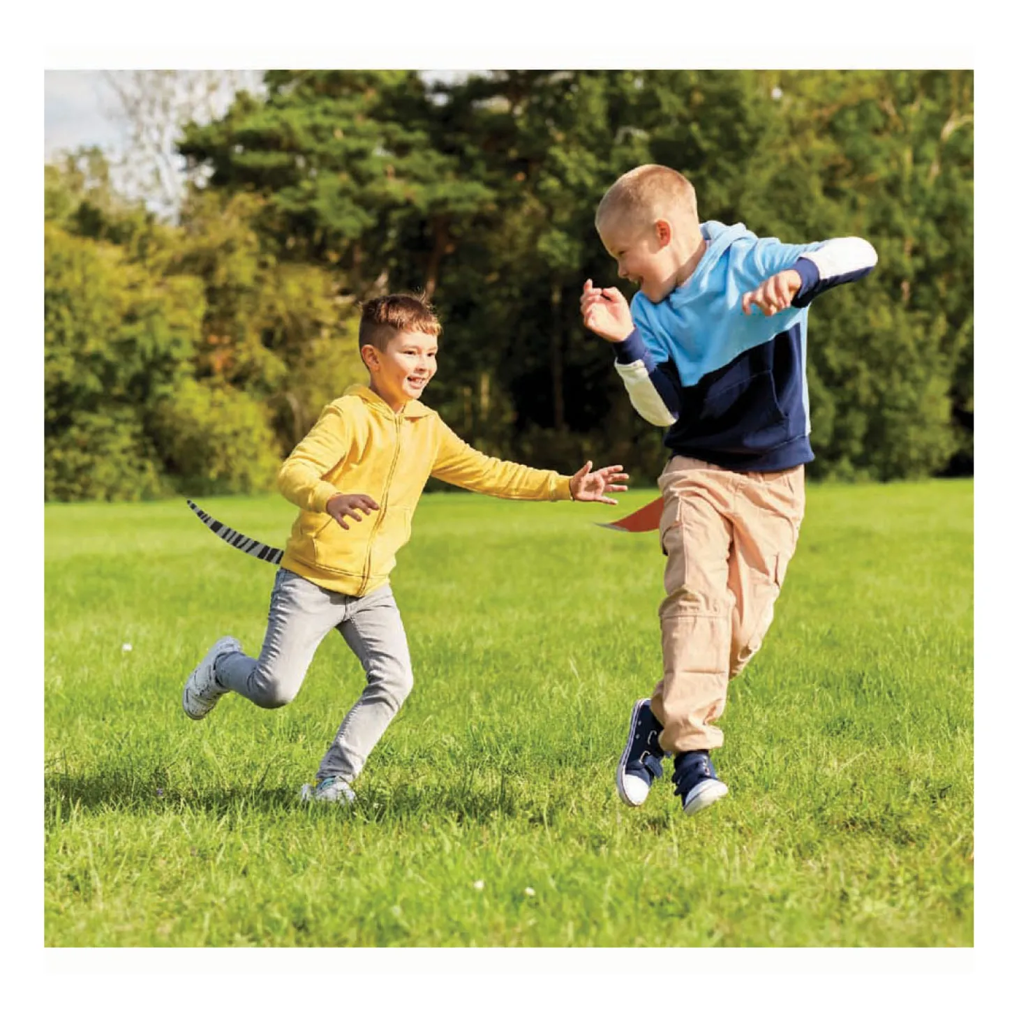 Play ToDay Dierenstaarten Tikkertje, 6 Staarten