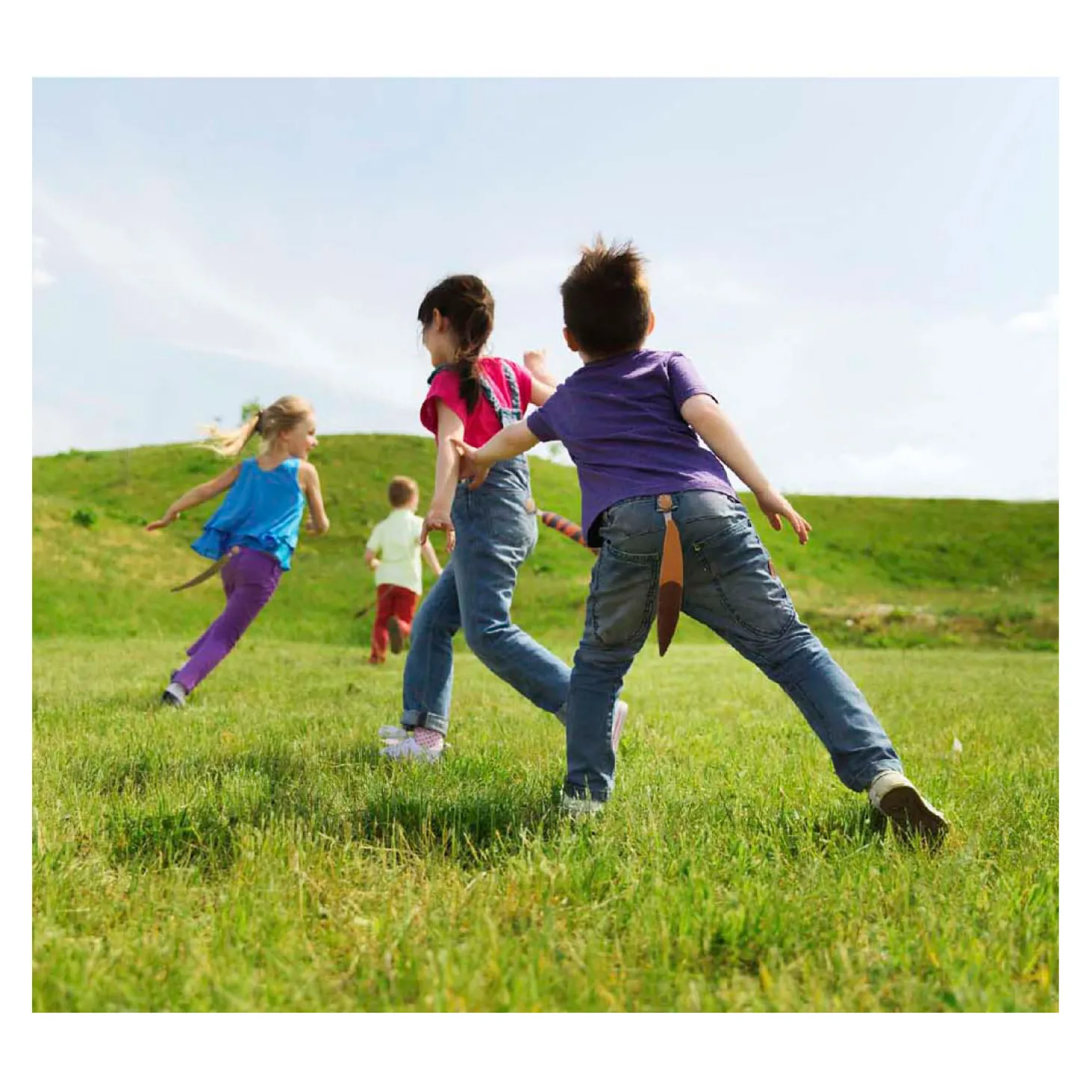 Play ToDay Dierenstaarten Tikkertje, 6 Staarten