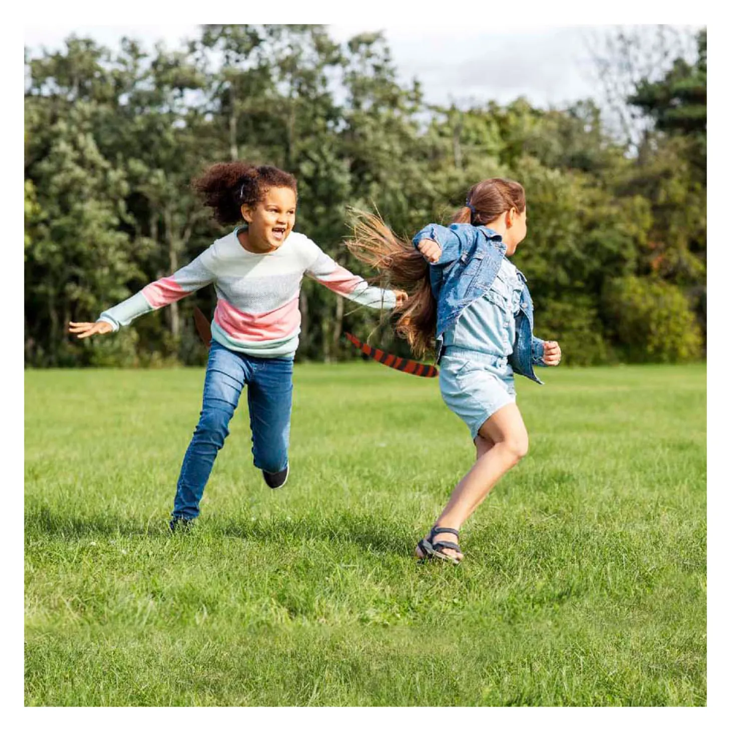 Play ToDay Dierenstaarten Tikkertje, 6 Staarten