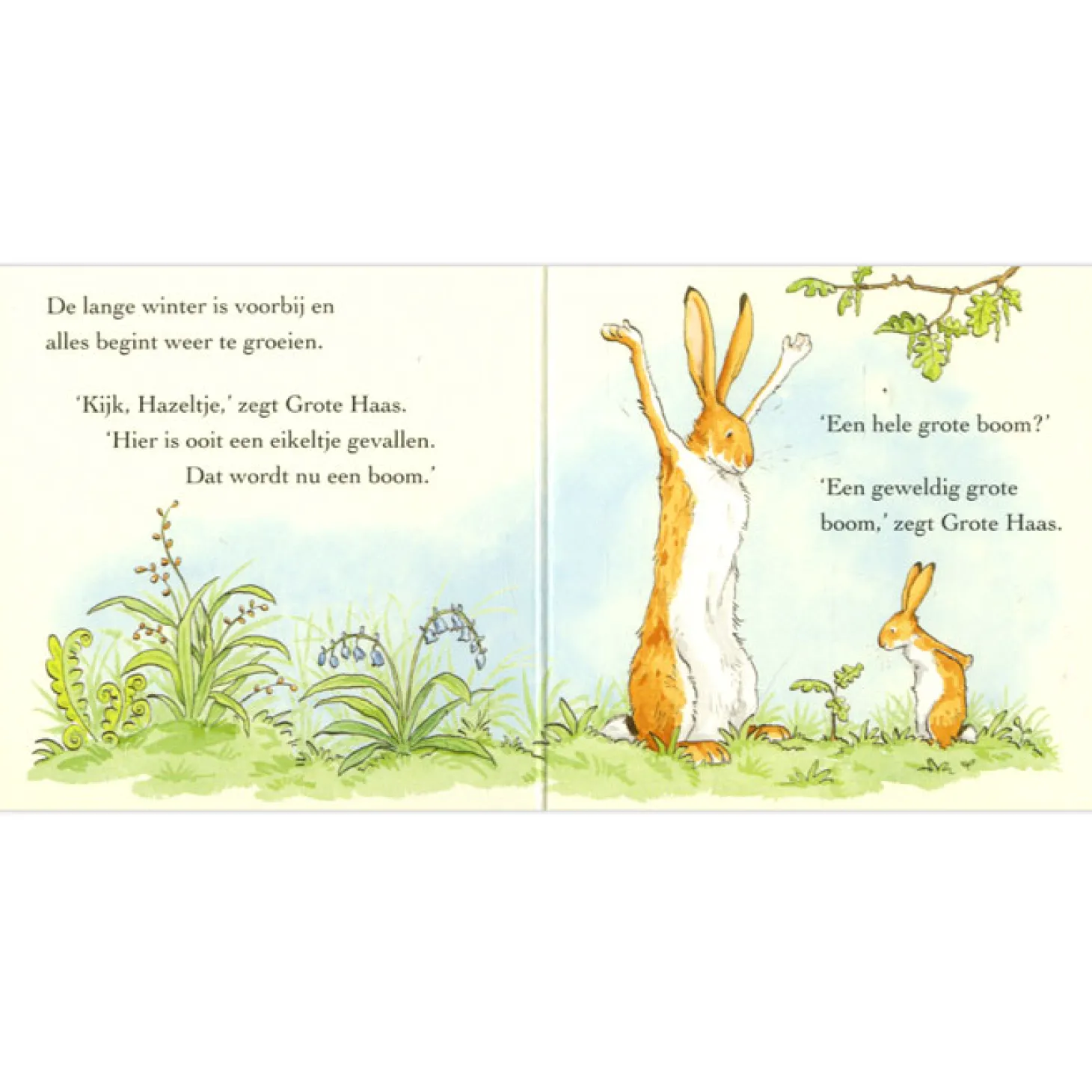 Raad eens hoeveel ik van je hou, 4st.