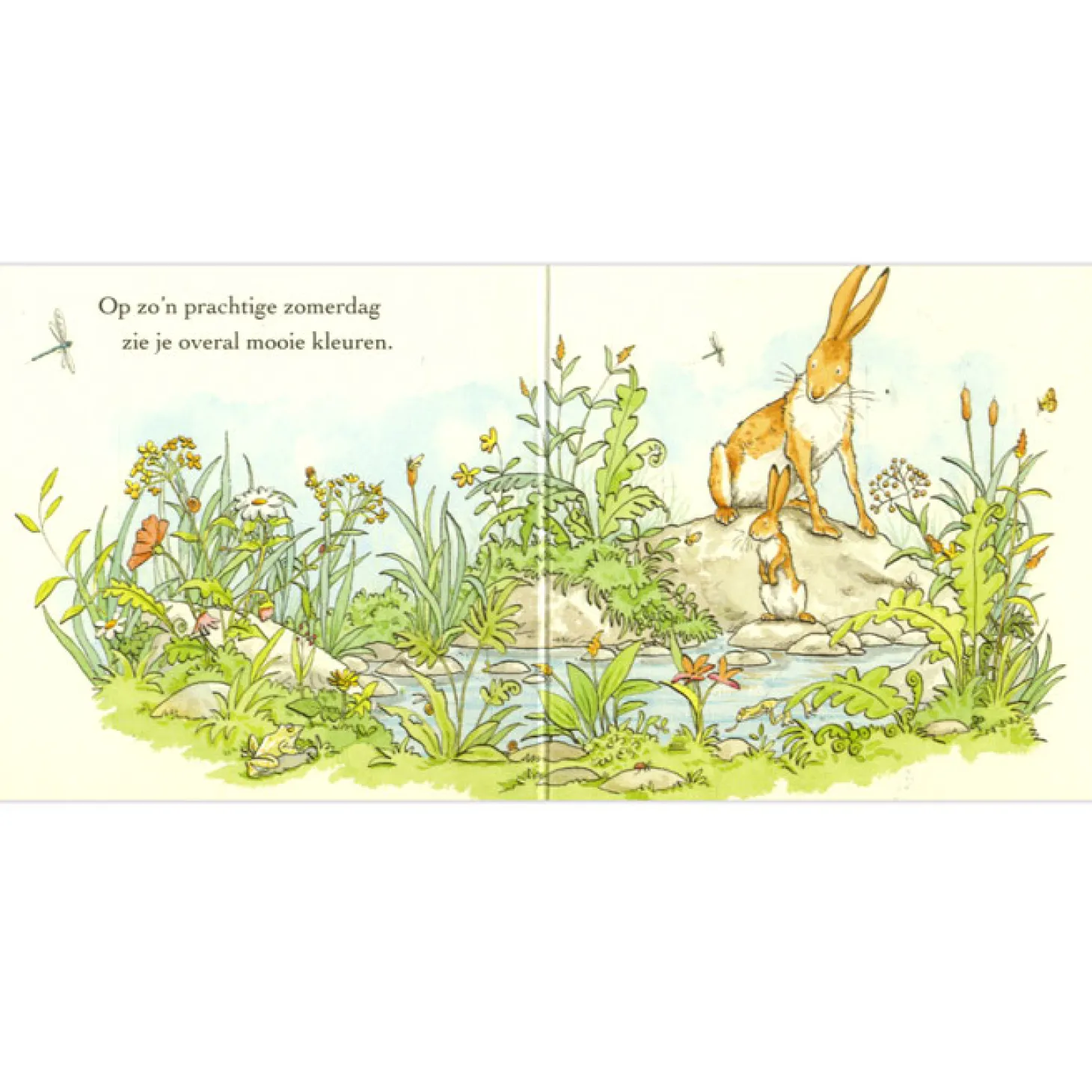 Raad eens hoeveel ik van je hou, 4st.