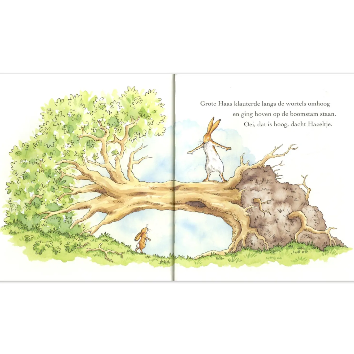 Raad eens hoeveel ik van je hou altijd en overal