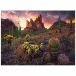 Ravensburger Legpuzzel Cactus, 500st.