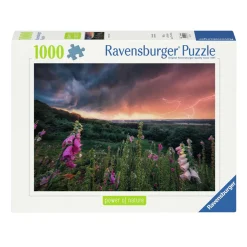 Ravensburger Legpuzzel Ein Sturm Zieht Auf, 1000st.
