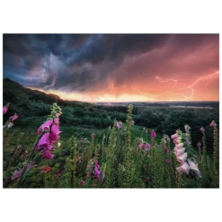 Ravensburger Legpuzzel Ein Sturm Zieht Auf, 1000st.