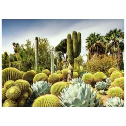 Ravensburger Legpuzzel Huntington Desert Garden, 1000st.