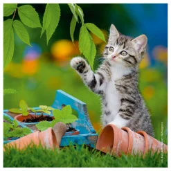 Ravensburger Legpuzzel Jonge Katjes, 3x49st.