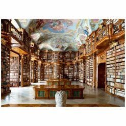 Ravensburger Legpuzzel New York Publieke Bibliotheek - 1000st.