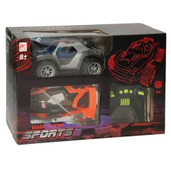 RC Bestuurbare Auto met Verwisselbare Bodies