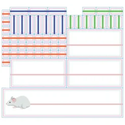 Rolf Basics - Staartjes Meten Rekenspel