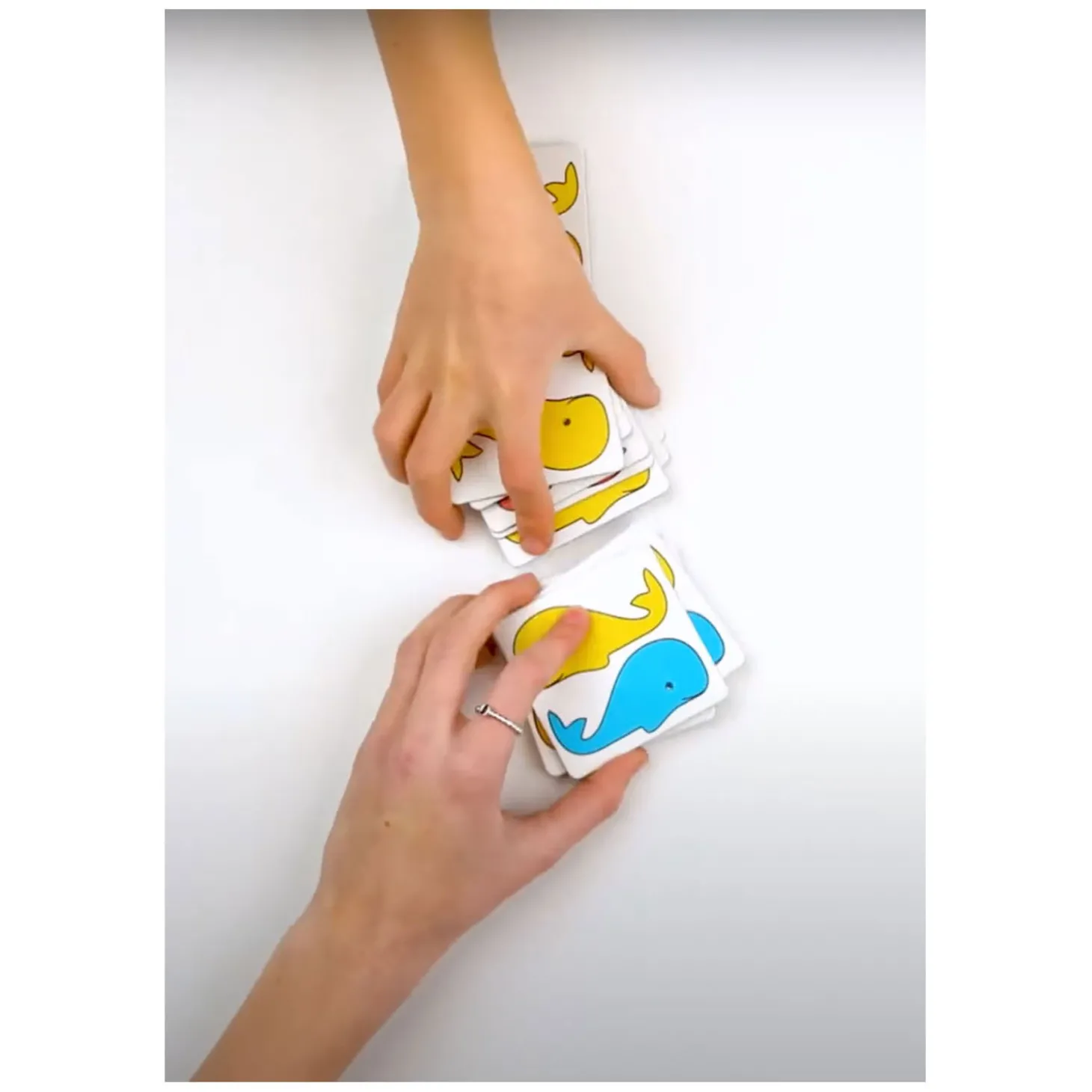 Rolf Basics - Walvis Duo's In Memospel