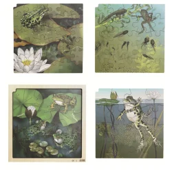 Rolf Connect - Groei en 4 Lagenpuzzel Hout Kikker, 86st.