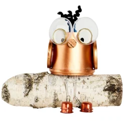 Rolf Originals - Recyclebeesten Kinderspel in Houten Box