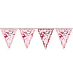 Roze Vlaggenlijn, 6mtr.