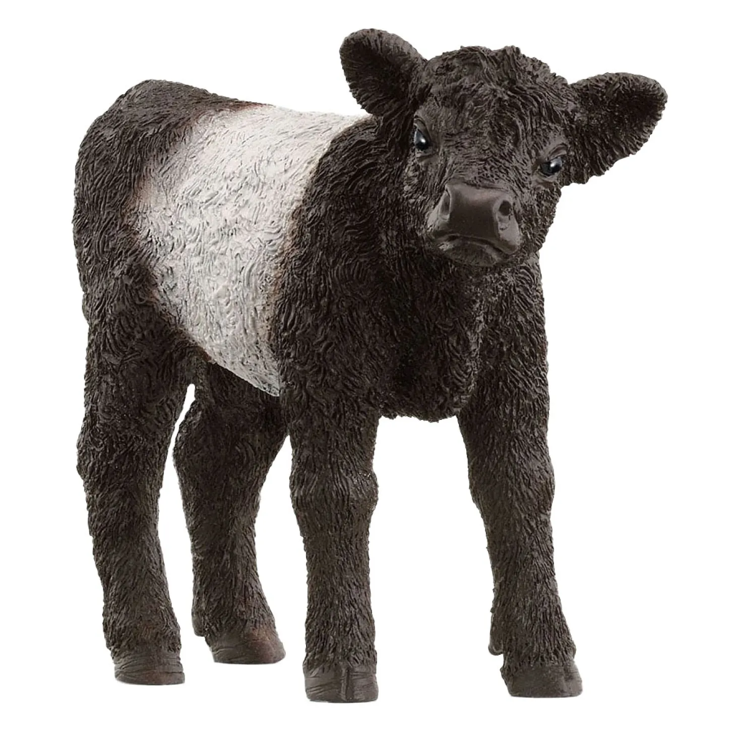 schleich FARM WORLD Galloway Kalf 13969