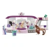schleich HORSE CLUB Beautysalon 42588