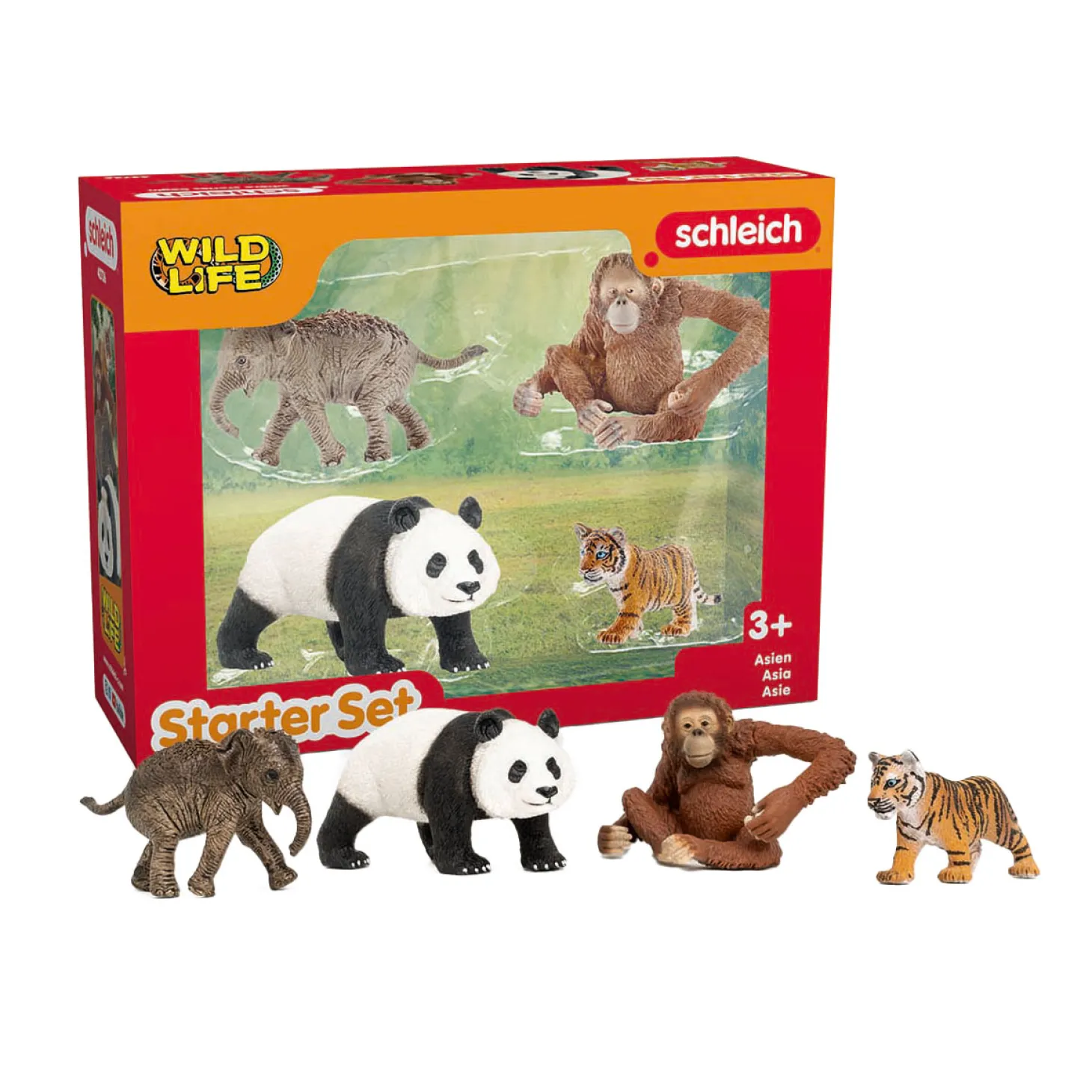 schleich WILD LIFE Azie Starter Set 42736