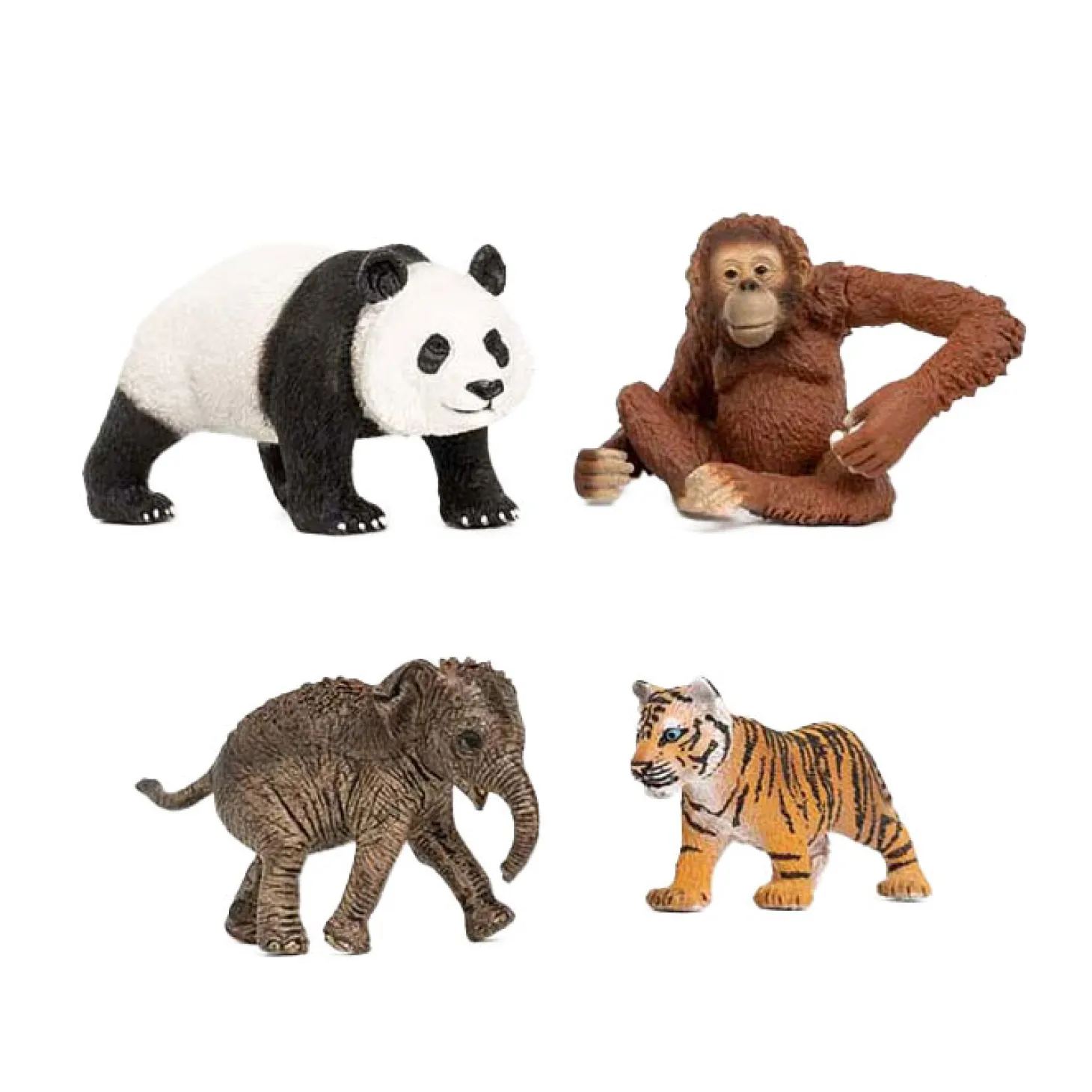 schleich WILD LIFE Azie Starter Set 42736