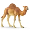schleich WILD LIFE Dromedaris 14832