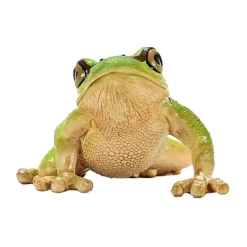 schleich WILD LIFE Europese Boomkikker 14882