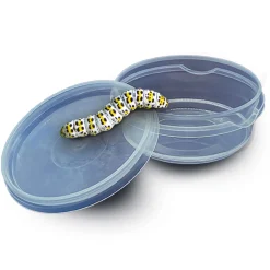 SES Explore - Insecten Explorer