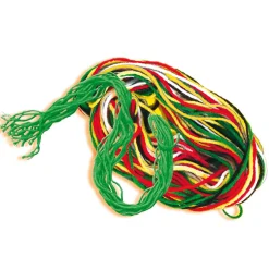 SES Ik Leer Borduren