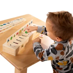 Small Foot  -  Afbeeldingen Sorteerbox, 55 dlg.