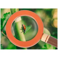 Small Foot  -  Explorer's Gereedschapsriem Discover