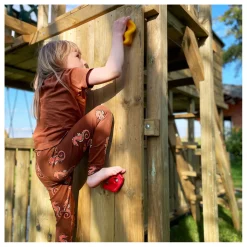 Small Foot - Klimstenen Kleur, 5st.