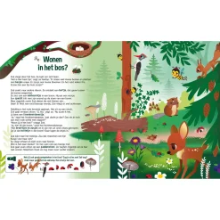 Speuren in de Bijenwereld + kartonnen zaklamp