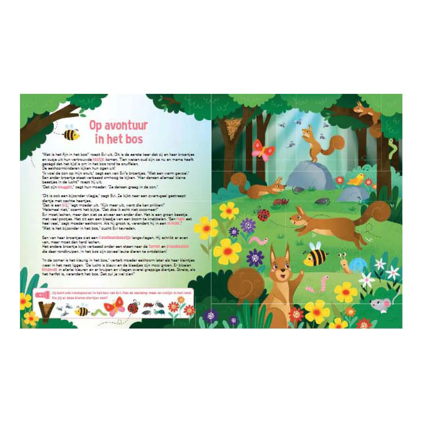 Speuren In het Bos Zoekboek met Kartonnen Zaklamp