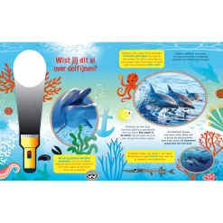 Speuren naar Dolfijnen + kartonnen zaklamp