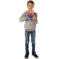 Spijkerkunst Regenboog Groot