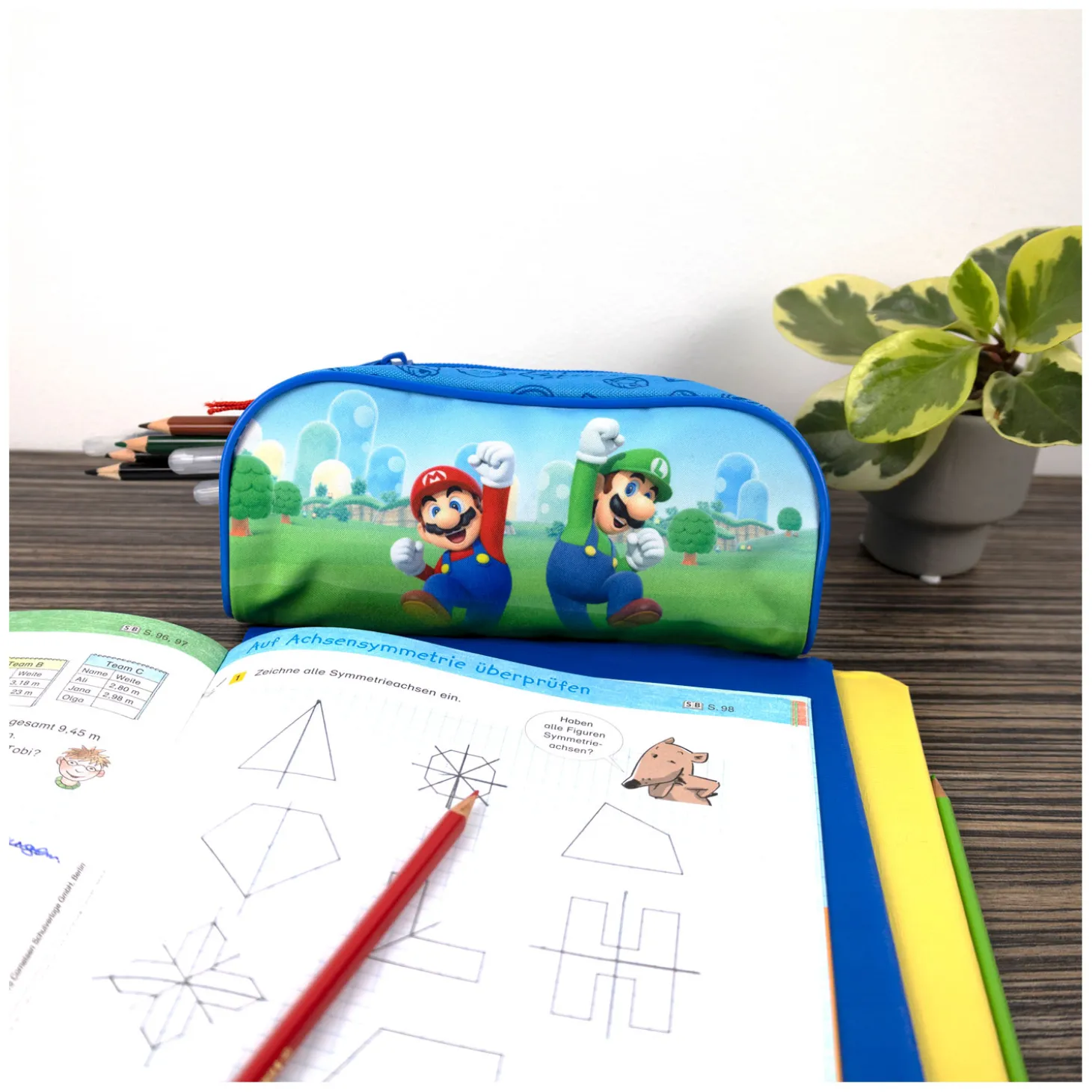 Super Mario Etui
