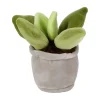 Take Me Home Knuffel Plant Pluche - Vetplant, 12-17cm