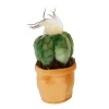 Take Me Home Knuffel Plant Pluche - Cactus, 12-17cm