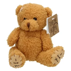 Take Me Home Knuffelbeer Donkerbruin