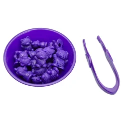 Tel- en Sorteerset met Beren - incl. 6 Bakjes