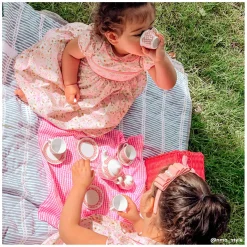 Tidlo Picnickset in Roze Koffer