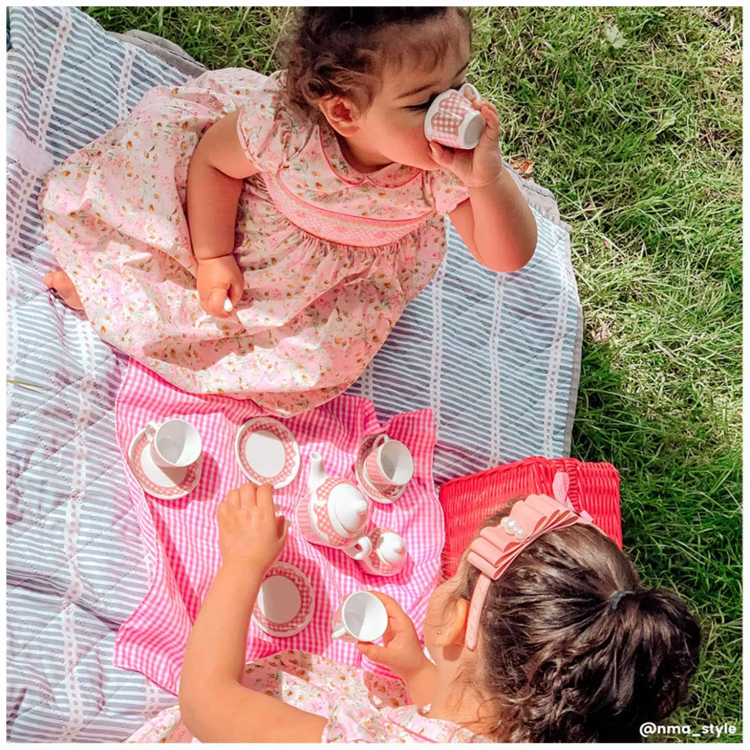 Tidlo Picnickset in Roze Koffer