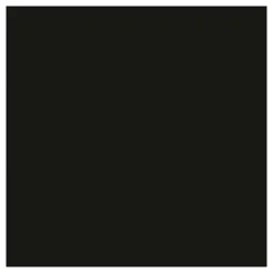 Tissuepapier Zwart 10 Vellen 14 gr, 50x70cm