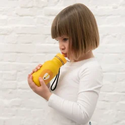 Trixie Drinkfles Mr. Lion, 350ml